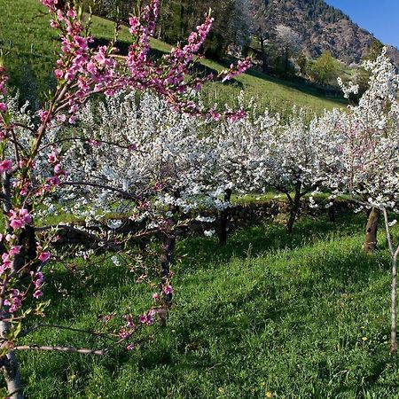 Haus Gilli Ξενοδοχείο Lagundo Εξωτερικό φωτογραφία